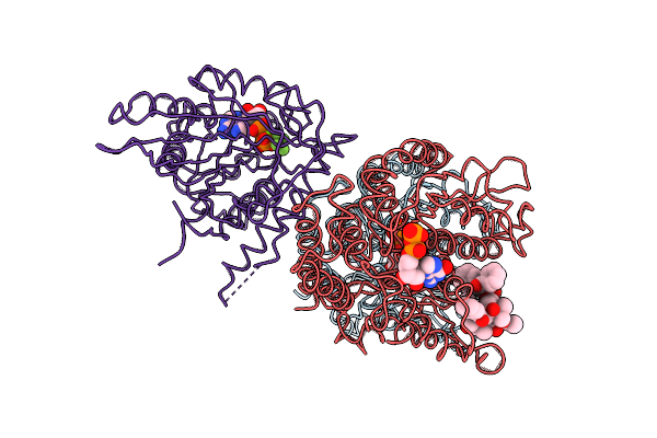 4UXR image