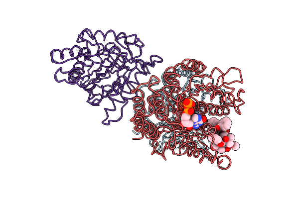 4UXT image