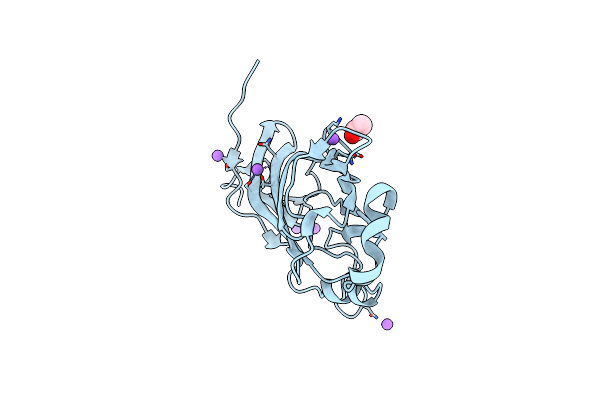 4UYT image