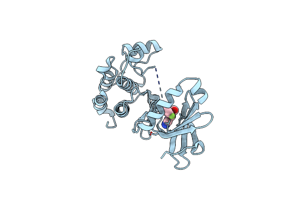 4UZH image