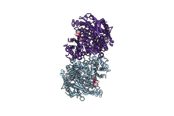 4V0I image