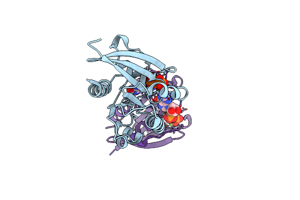 4V0L image