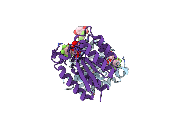 4V0S image