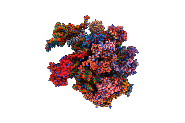 4V19 image