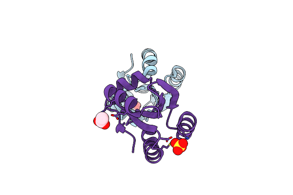 4V2M image