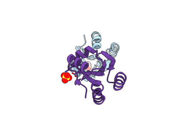 4V2N image