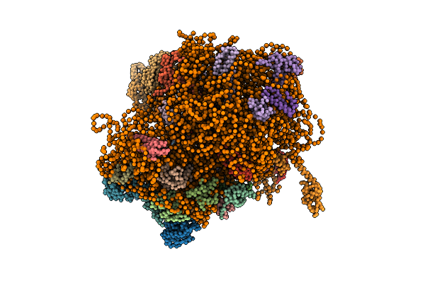 4V42 image