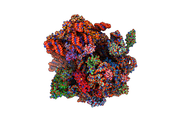 4V4P image