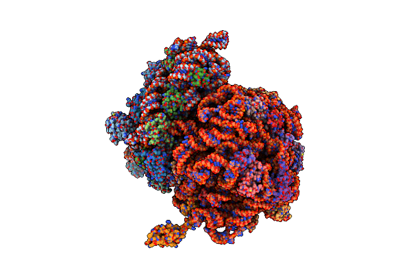 4V4R image