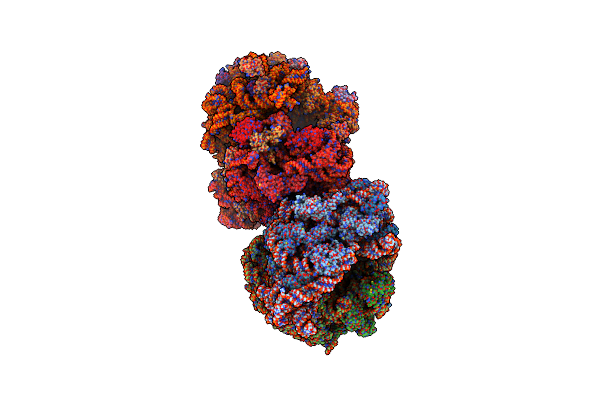 4V52 image