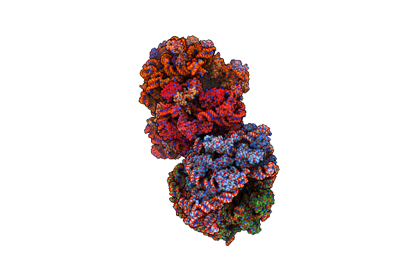 4V53 image