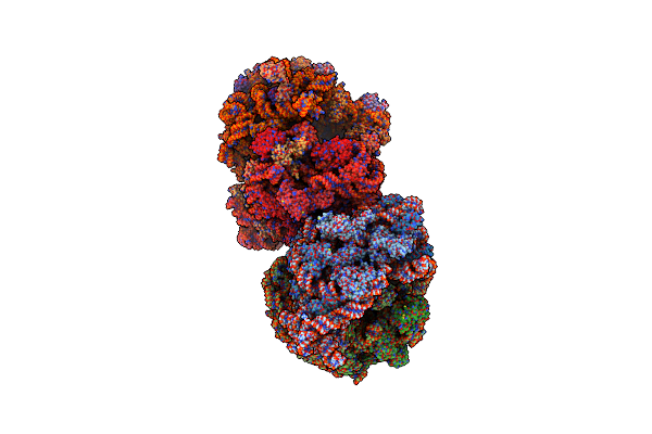 4V54 image