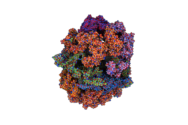 4V59 image
