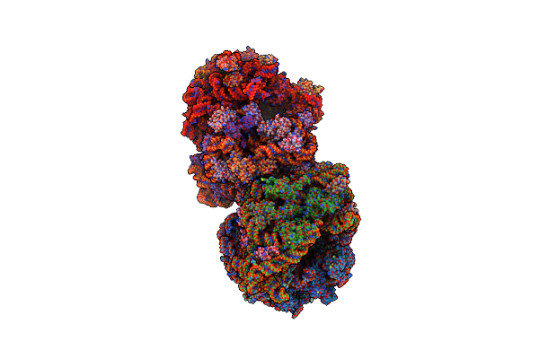 4V5B image