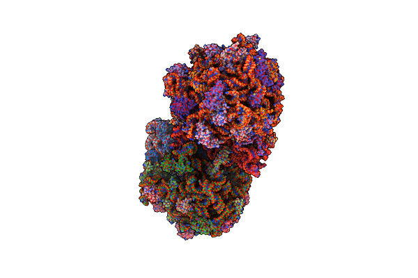 4V5D image