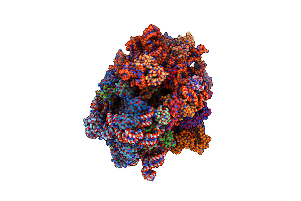 4V5L image