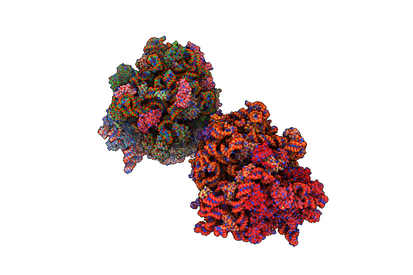 4V5P image