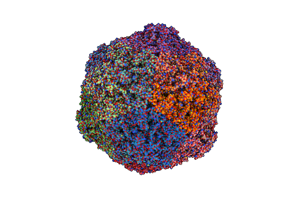 4V5W image