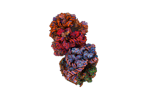 4V64 image