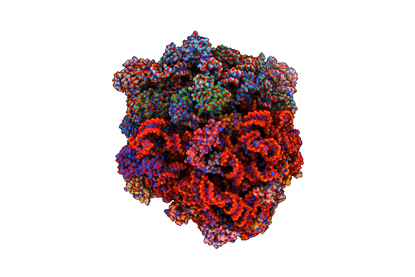 4V65 image