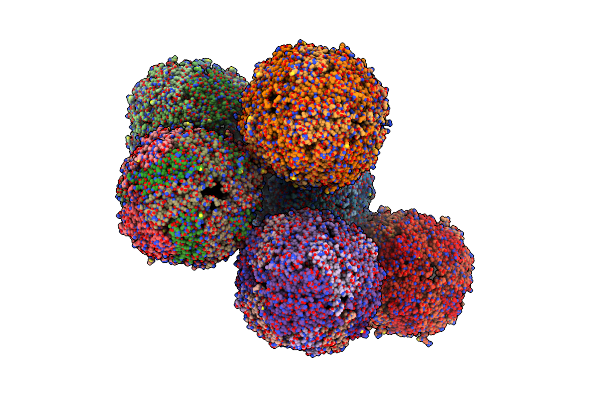 4V6B image