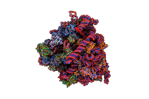 4V6I image