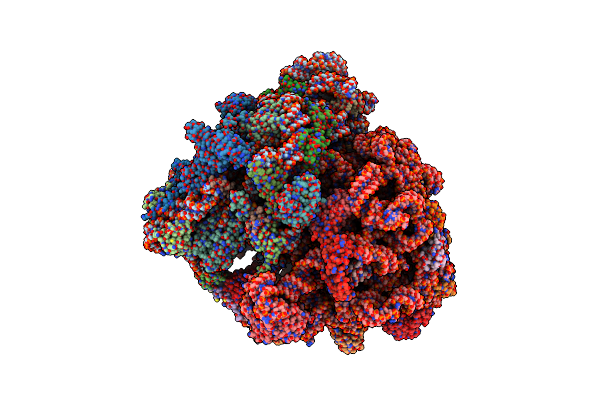 4V6L image