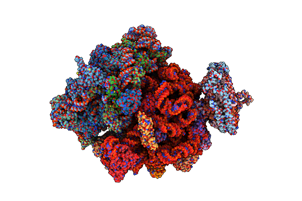 4V6M image