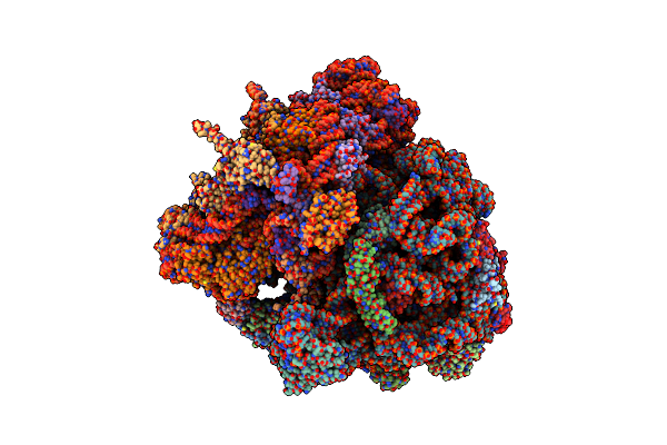 4V6N image