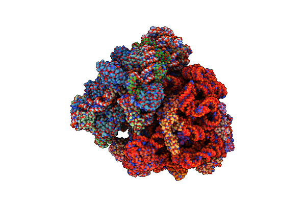 4V6P image