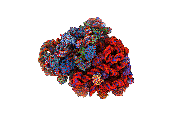 4V6T image