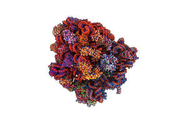 4V6V image