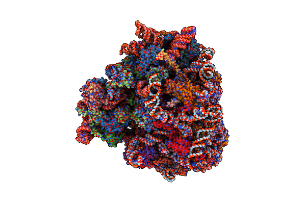 4V6W image