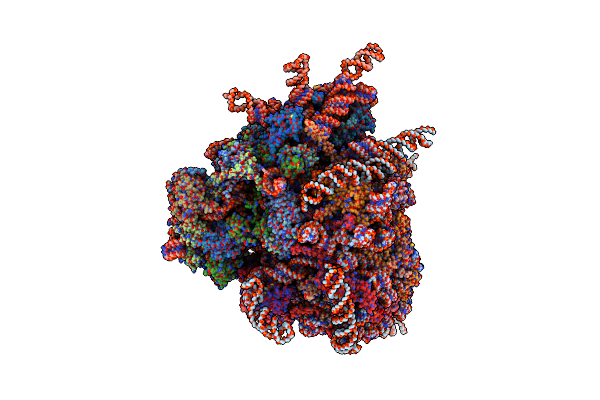 4V6X image