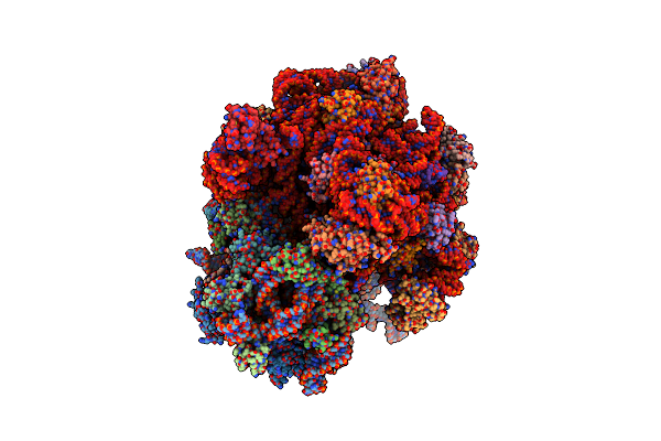 4V6Y image