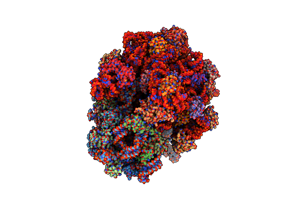 4V75 image