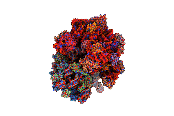 4V77 image