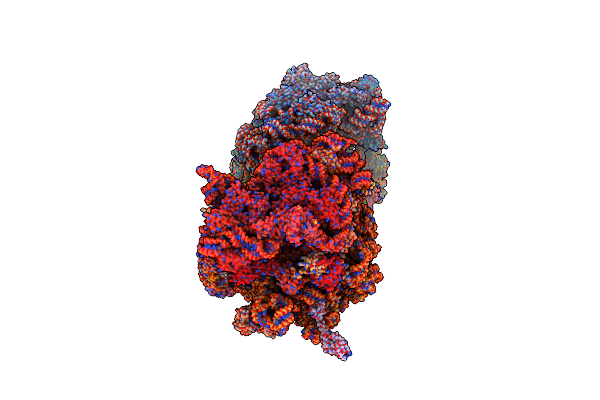 4V7L image
