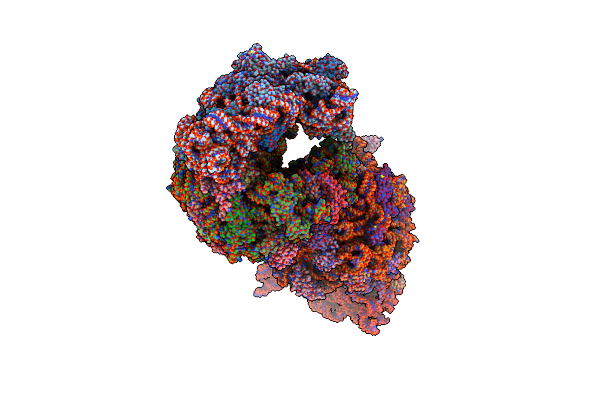 4V8G image