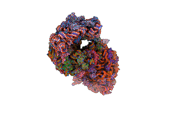 4V8I image
