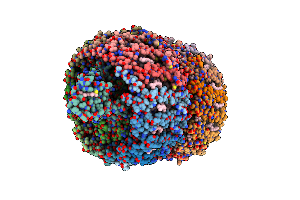 4V8K image