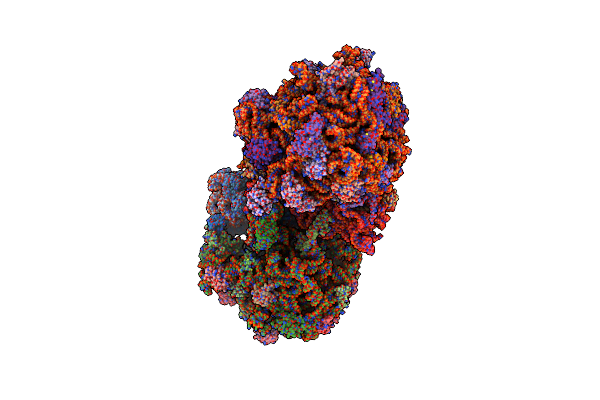 4V8N image
