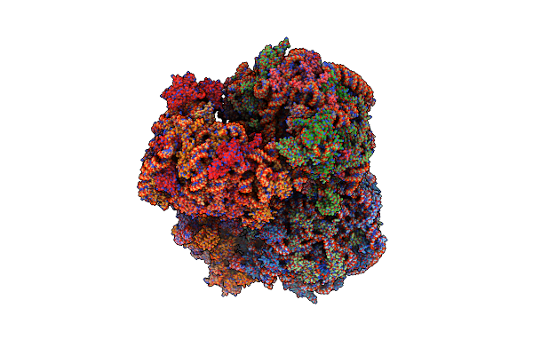 4V8P image