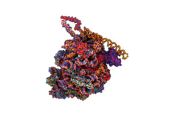 4V8T image