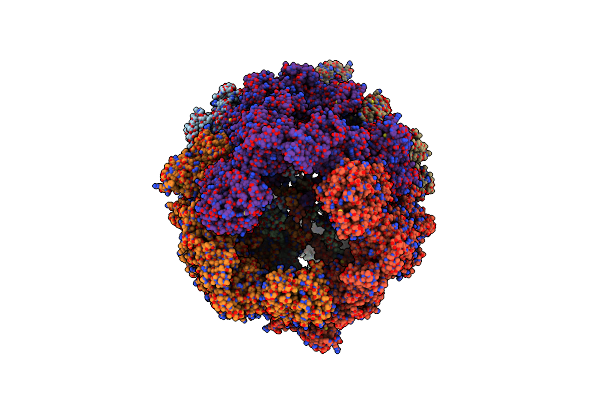 4V8V image