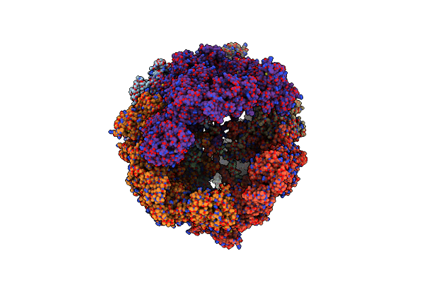 4V8W image