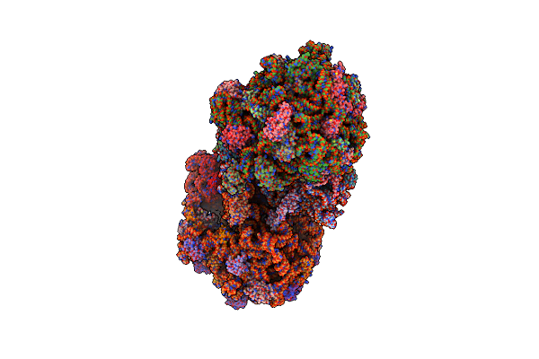 4V8X image