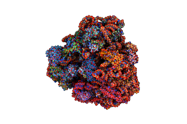 4V8Y image
