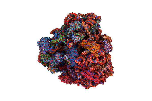 4V8Z image