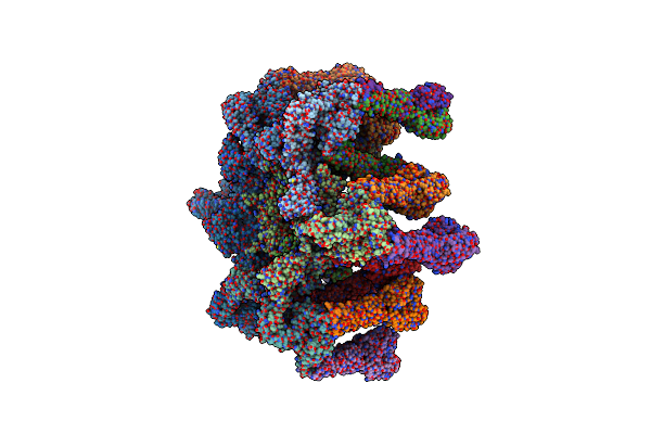 4V96 image